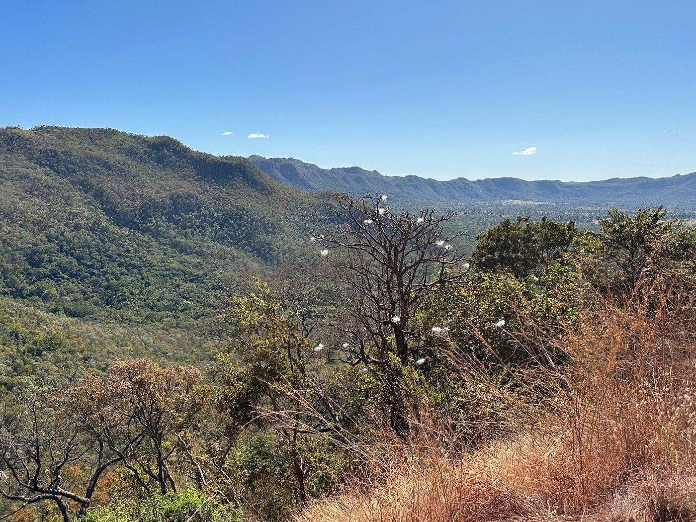 Mirante da Nova Aurora
